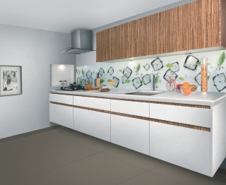 Sleek Modular Kitchen Gallery